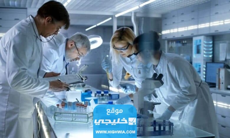 رواتب الهندسة الطبية الحيوية في السعودية 2023