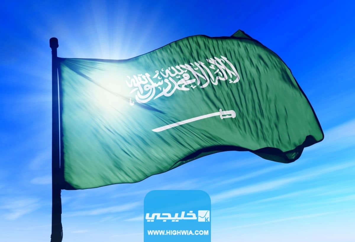 صور فعاليات يوم العلم السعودي